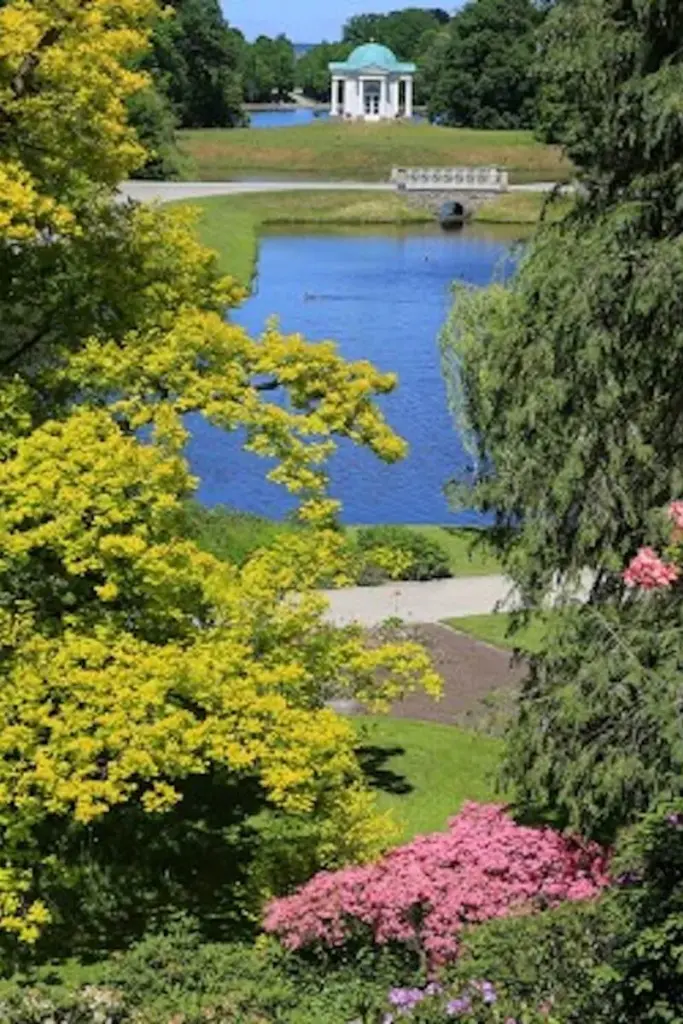 Grüner Park mit Bäumen und Wiese unter blauem Himmel