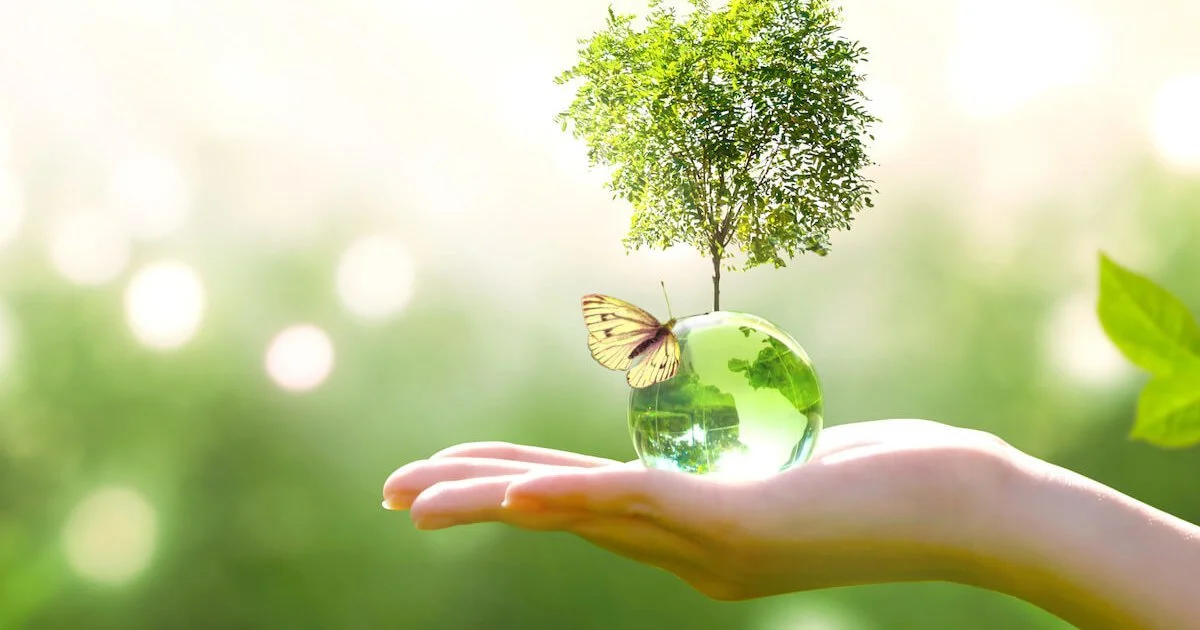 Grüner Baum oder Strauch auf naturbelassenem Untergrund, Symbol für Natur und Nachhaltigkeit
